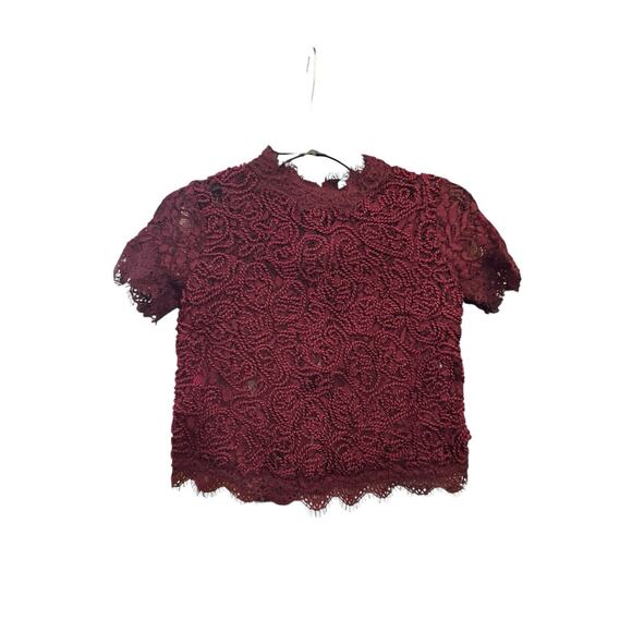 Zara Trafaluc Burgundy Lace Mesh Crop Top Small - Picture 1 of 5